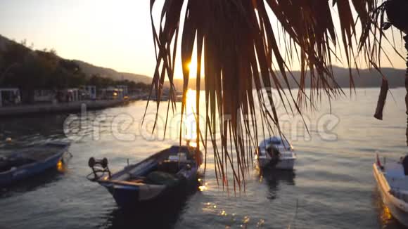 日落时分渔船站在海滨附近的画面阳光透过棕榈叶照耀自然背景视频的预览图