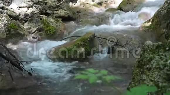 意大利瓦列皮埃特拉蒙蒂辛布鲁尼公园的小河视频的预览图