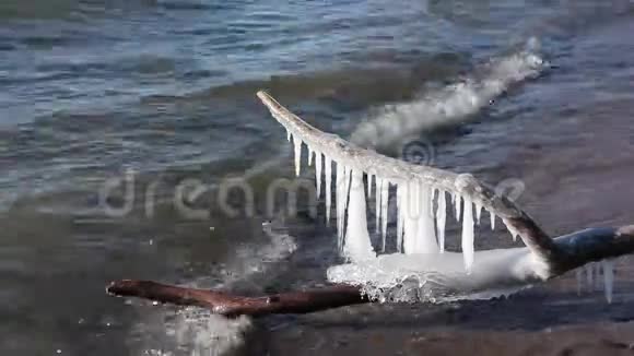 原木上的冰柱在冰冻的池塘里被海浪冲刷视频的预览图