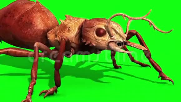 昆虫行走周期绿色屏幕三维渲染动画视频的预览图