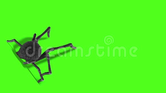 黑寡妇蜘蛛墙背绿幕三维渲染动画视频的预览图