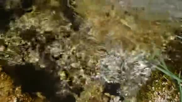 意大利瓦列皮埃特拉蒙蒂辛布鲁尼公园的小河视频的预览图