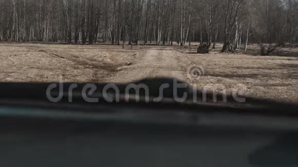 车内观林中秋景司机在乡下骑汽车视频的预览图