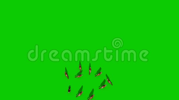 麻雀飞绿色屏幕顶部3D渲染动画色度键视频的预览图