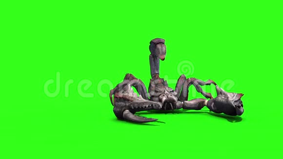 天蝎座攻击环前绿幕3D渲染视频的预览图