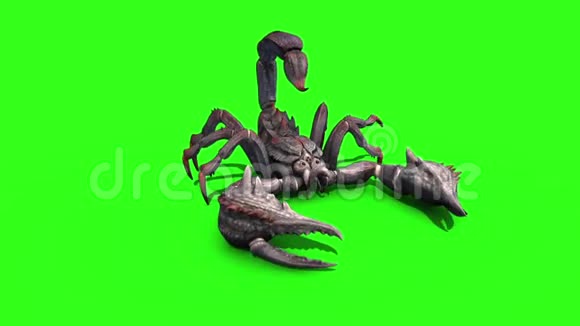 天蝎座攻击尾环正面绿色屏幕3D渲染视频的预览图