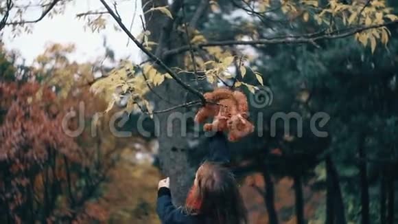 有趣欢快可爱的小女孩和她的玩具熊在惊人的秋天公园慢动作玩视频的预览图