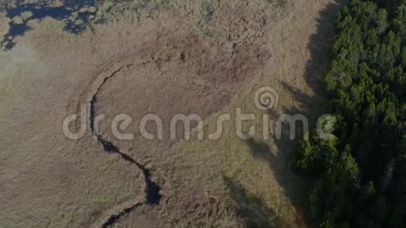 鸟瞰黑湖和沼泽森林背景波霍耶山斯洛文尼亚秋季早晨视频的预览图