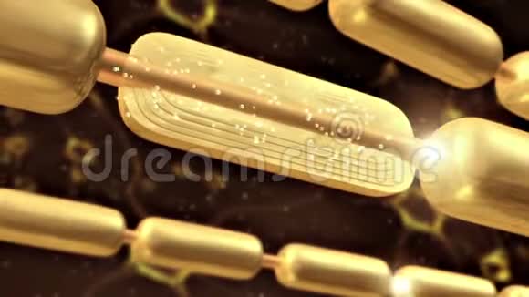 3D渲染特写分子物质形成一个金囊与鞘磷脂营养视频的预览图