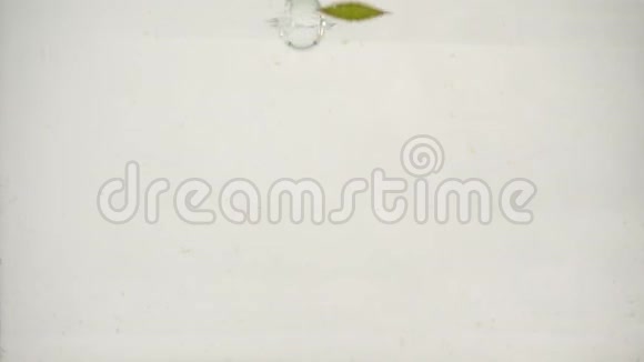 新鲜的几维果切片在白色背景特写镜头上溅入水中视频的预览图