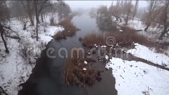 雾在公园里的河流上雪解冻春天视频的预览图