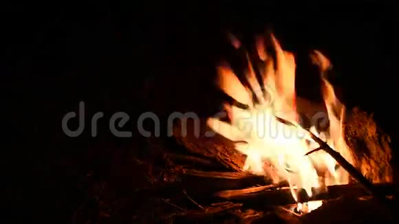 露营时篝火的特写视频的预览图