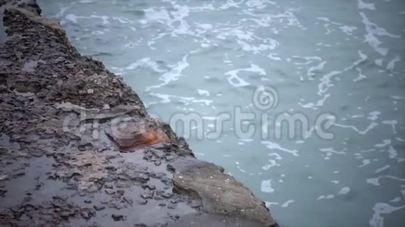 海水被波浪缓慢地冲刷着视频的预览图
