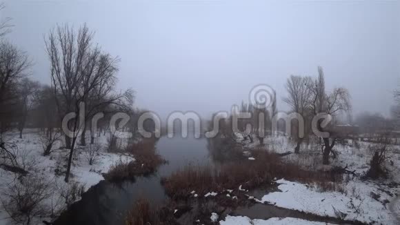 雾在公园里的河流上雪解冻春天视频的预览图