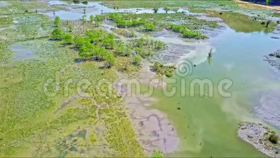 有蓝水和树木的人在大沼泽地上活动视频的预览图