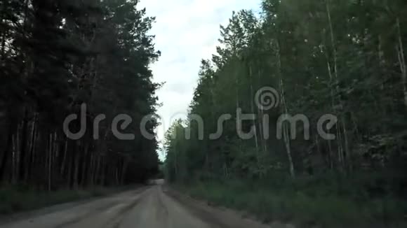 森林里的路从车上看视频的预览图