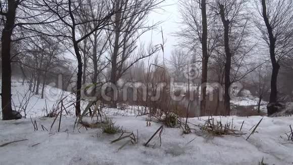在公园里薄雾笼罩着河流雪解冻春天视频的预览图