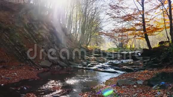 森林中有瀑布的山河阳光在河上闪烁视频的预览图