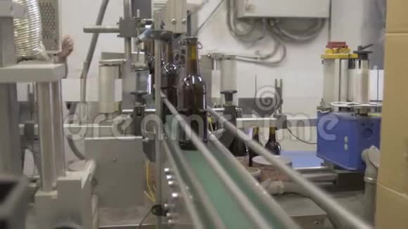 在工厂工作的人传送带上的瓶子啤酒棕色玻璃瓶沿着传送带移动到工厂视频的预览图