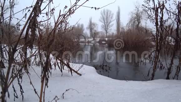 在公园里薄雾笼罩着河流雪解冻春天视频的预览图