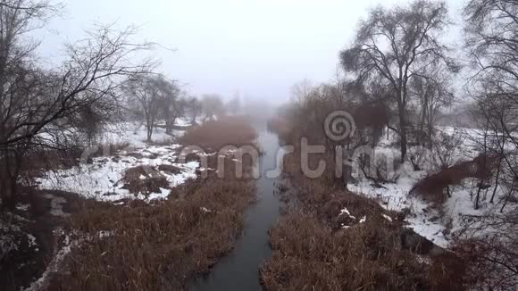雾在公园里的河流上雪解冻春天视频的预览图