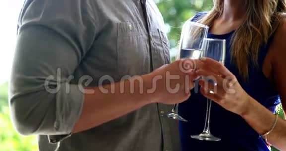 两个人面对面在餐馆里拿着香槟酒杯视频的预览图