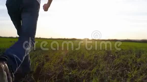一个穿着白色衣服的快乐男孩跑过绿色的田野走向太阳视频的预览图