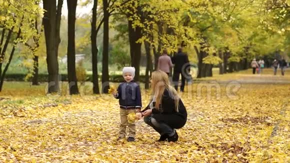 母子俩在公园里扔黄叶视频的预览图