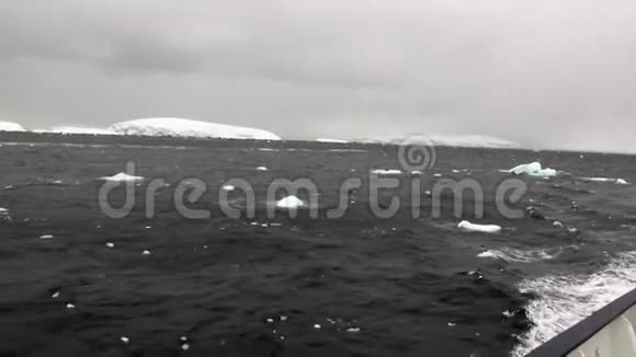 从船上看到南极洲海洋浮冰视频的预览图