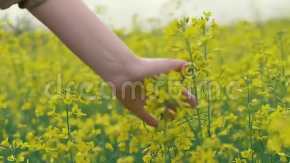 雌手摸黄花美丽的黄花视频的预览图