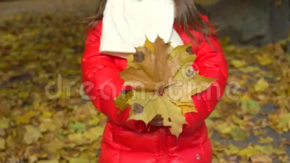 秋天公园里的小女孩穿着红色夹克手里拿着黄叶视频的预览图