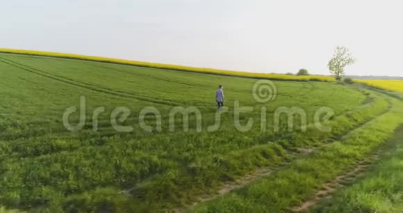 男性农场研究员站在田野的土路上视频的预览图