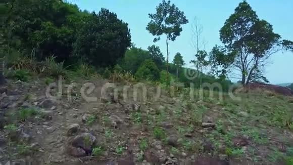 落基地面对热带森林的撞击运动视频的预览图