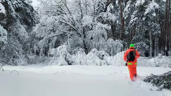 摄影师拍摄冬天的雪林视频的预览图