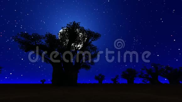 夜晚非洲热带草原与月亮视频的预览图