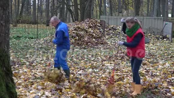 年轻夫妇在后院耙枫叶在秋天工作4K视频的预览图