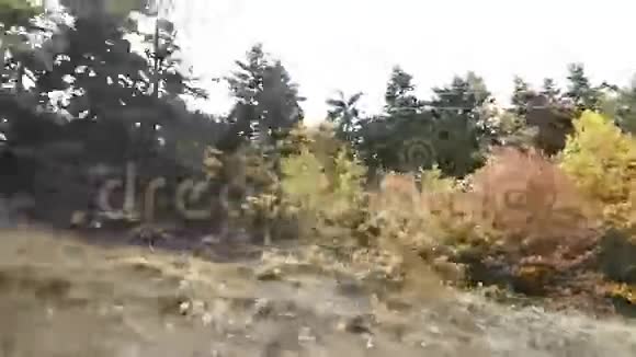 希腊普拉斯蒂拉卡迪察湖附近的森林视频的预览图