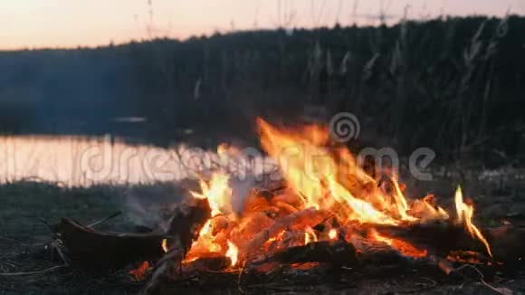 在河岸特写镜头中燃烧森林干枝的篝火视频的预览图