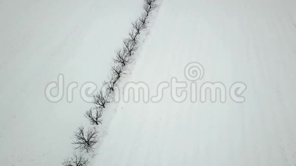 冰雪覆盖的冻树鸟瞰视频的预览图