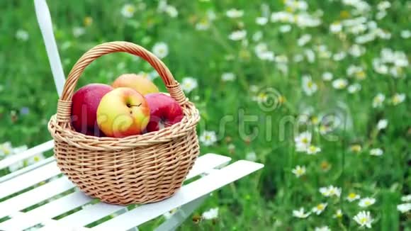 特写镜头漂亮的红苹果放在篮子里放在白色的椅子上在一片开花的雏菊田野里草坪上视频的预览图