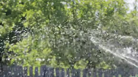 花园花园草坪花坛的浇水装置视频的预览图