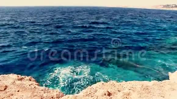 岸滩碧绿色海水视频的预览图