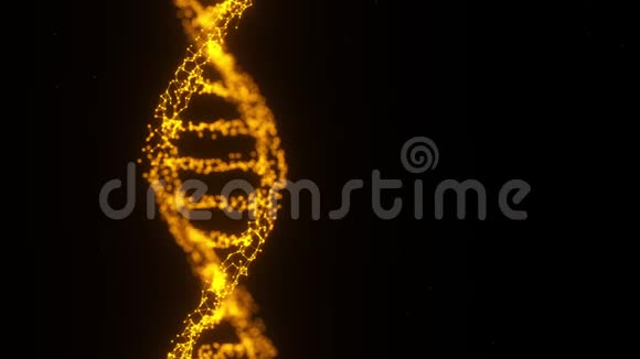 人类DNA3D丛旋转金色发光粒子循环的视频片段视频的预览图