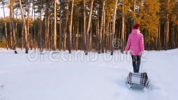 穿着粉红色羽绒服的年轻女子在冬天的树林里背着一只空雪橇视频的预览图