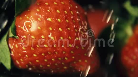 一滴水浇草莓慢节奏视频的预览图