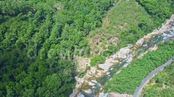 穿越河流的深野热带丛林视频的预览图