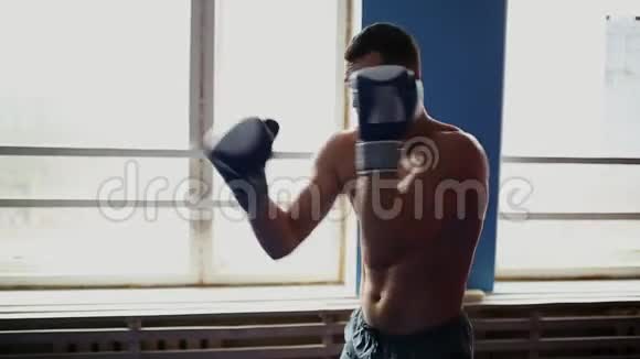 持有一个职业拳击手影子拳击戴拳击手套衬衫脱近距离垂直摄像机的移动视频的预览图