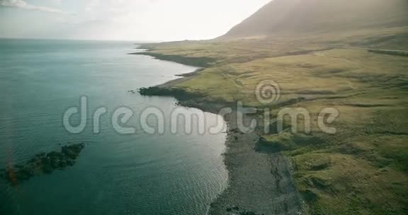 阳光明媚的一天科普特在冰岛的海边飞来飞去熔岩和水的美丽景观视频的预览图