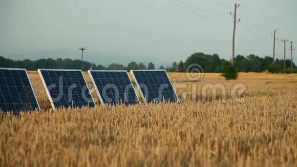 太阳电池板在金色的田野上小女孩在那里晒太阳视频的预览图