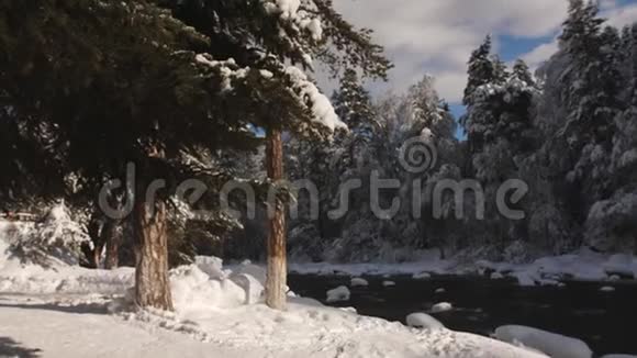 山河畔森林中的冬季景观视频的预览图